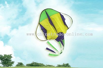 Steel Wire Kite from China